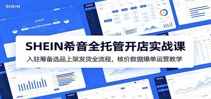 SHEIN希音全托管开店实战课：入驻筹备选品上架发货全流程，核价数据爆单运营教学-玩备项目资源网