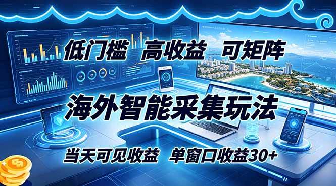 （18955期）海外智能采集玩法，低门槛高单价可矩阵，当天可见收益，单窗口30+-玩备项目资源网