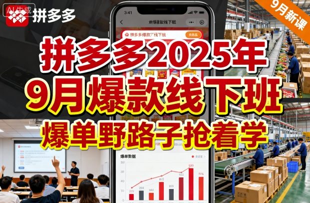 拼多多2025年9月爆款线下班，爆单野路子抢着学-玩备项目资源网