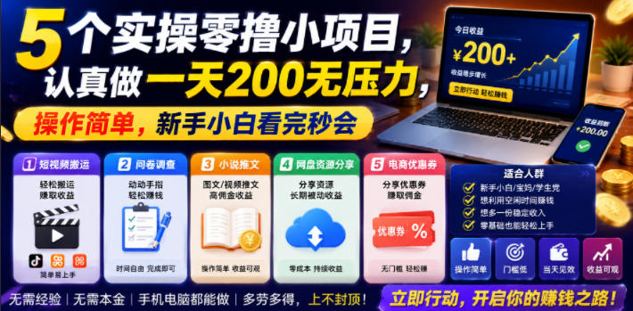 5个实操零撸小项目,认真做一天200无压力,操作简单,新手小白看完秒会【揭秘】-玩备项目资源网