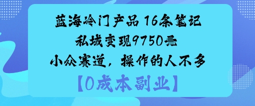 蓝海冷门产品：16条笔记私域变现9750米小众赛道，操作的人不多-玩备项目资源网