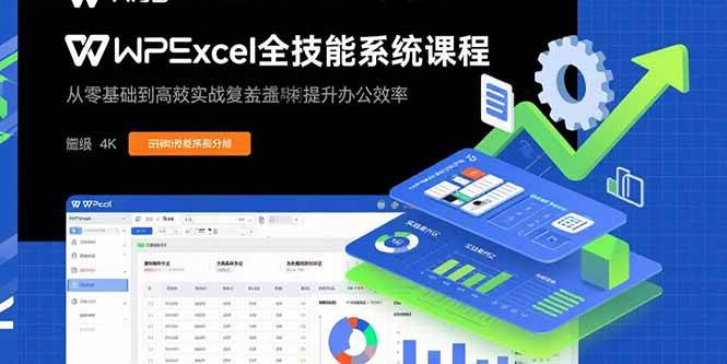 （15873期）WPS Excel全技能系统课程：从零基础到高阶实战全覆盖，全面提升办公效率-玩备项目资源网