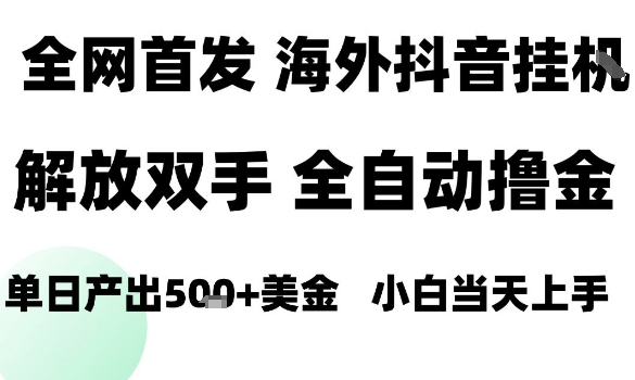 海外抖音无人直播，单日产出1.5k+，长期稳定，新手可玩，无脑操作【揭秘】-玩备项目资源网