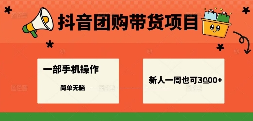 抖音团购带货项目，一部手机简单操作，一周3k+-玩备项目资源网