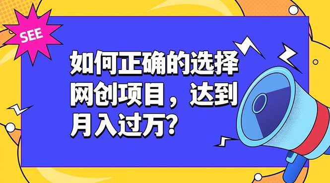 (19176期)如何正确的选择网创项目,达到月入过万?,本课程教你正确选择项目。-玩备项目资源网