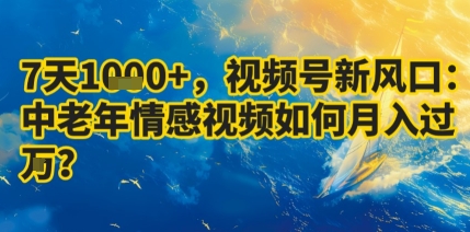 7天收益1k+，视频号新风口：中老年情感视频如何月入过W?-玩备项目资源网