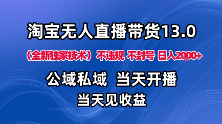 淘宝无人直播13.0，公域私域技术，不封号，不违规布局下半年旺季赛道，日入1K+（独家技术）【揭秘】-玩备项目资源网