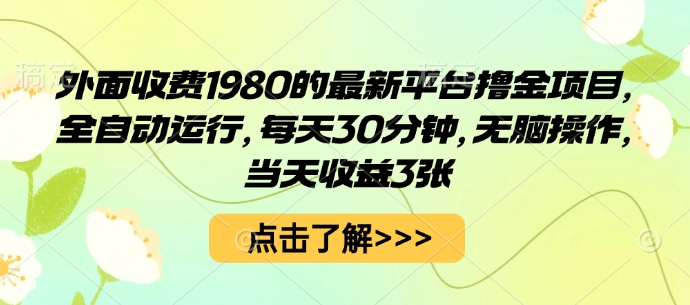 外面收费1980的最新平台撸金项目，全自动运行，每天30分钟，无脑操作，当天收益3张【揭秘】-玩备项目资源网