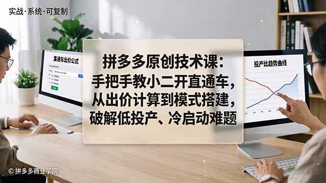 （18159期）拼多多原创技术课：手把手教小二开直通车，从出价计算到模式搭建，破解低投产、冷启动难题-玩备项目资源网