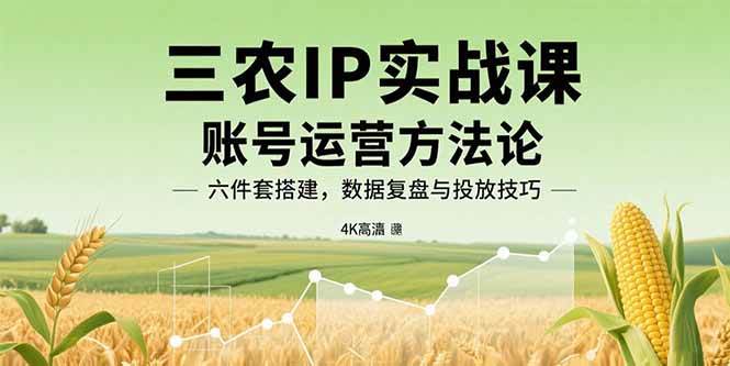 （15864期）三农IP实战课：账号运营方法论，六件套搭建，数据复盘与投放技巧-玩备项目资源网