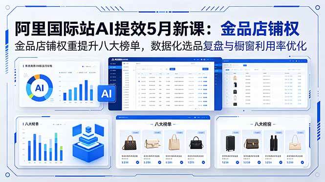 (18556期)阿里国际站AI提效5月新课:金品店铺权重提升八大榜单,数据化选品复盘与橱窗利用率优化-玩备项目资源网