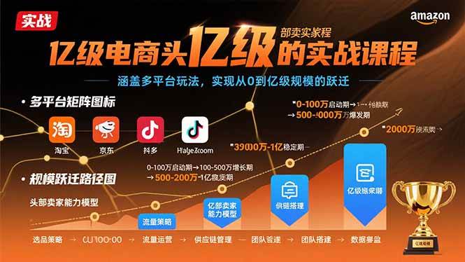 （15803期）亿级电商头部卖家的实战课程：涵盖多平台玩法，实现从0到亿级规模的跃迁-玩备项目资源网