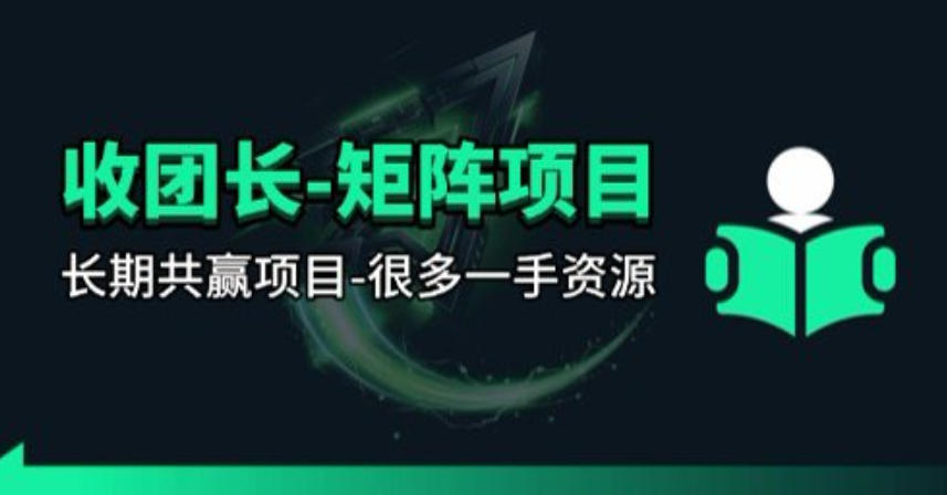 【团长合作】视频矩阵项目_招发手矩阵+剪辑师，共赢项目【揭秘】-玩备项目资源网