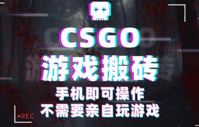 （16090期）CSGO游戏挂机捡漏，单日扫货500+，年底小高峰上车可吃肉，手机即可操作…-玩备项目资源网