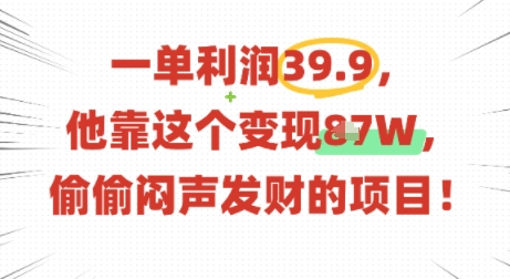 一单利润39.9，有人靠这个变现几十个，偷偷闷声发财的项目-玩备项目资源网