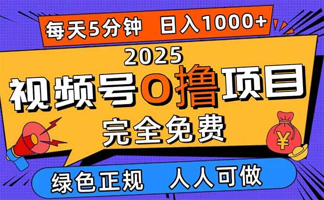 （16388期）2025视频号0撸项目，5分钟一个号，日入1000+，人人可做-玩备项目资源网