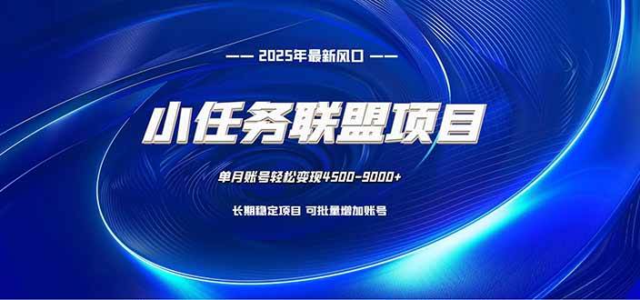 （16521期）小任务联盟项目：一台电脑每天只需10分钟，轻松简单稳定-玩备项目资源网