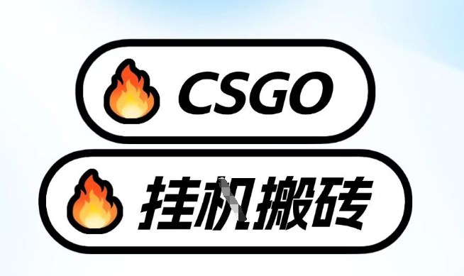 真全网独家CSGO挂G，最新玩法,单日捡漏1K+，不用电脑，不用打游戏【揭秘】-玩备项目资源网