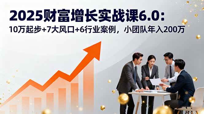 （16004期）2025财富增长实战课6.0：10万起步+7大风口+6行业案例，小团队年入200万-玩备项目资源网