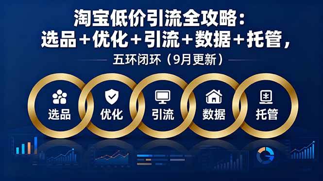 （16009期）淘宝低价引流全攻略：选品＋优化＋引流＋数据＋托管，五环闭环（9月更新）-玩备项目资源网