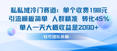 私域冷门赛道单个收费198米引流模板简单人群精准 45%的转化率单人一天大概收益多张-玩备项目资源网