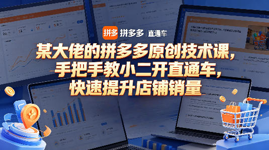 某大佬的拼多多原创技术课，手把手教小二开直通车，快速提升店铺销量-玩备项目资源网