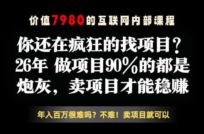 26年请不要疯狂的找项目了,卖项目远比你想象的暴利,你也可以月入10W+【揭秘】-玩备项目资源网