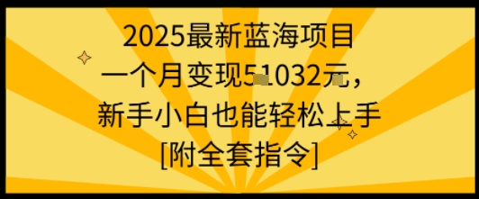 2025最新蓝海项目一个月变现1w+新手小白也能轻松上手【附全套指令】-玩备项目资源网