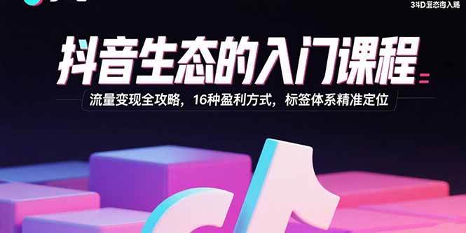 （15856期）抖音生态的入门课程：流量变现全攻略，16种盈利方式，标签体系精准定位-玩备项目资源网