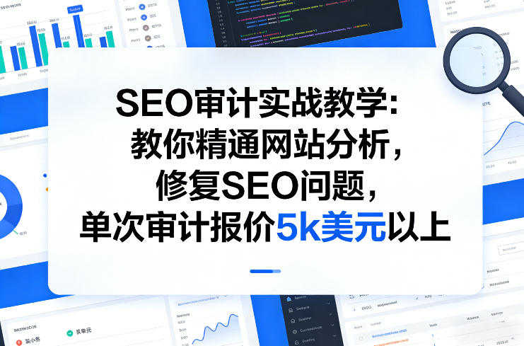 SEO审计实战教学：教你精通网站分析，修复SEO问题，单次审计报价5k美元以上-玩备项目资源网