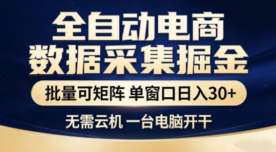 独家电商数据全自动采集项目，批量可矩阵，单窗口轻松日入3张+【揭秘】-玩备项目资源网