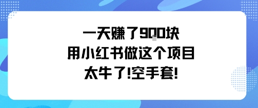 一天挣了9张用小红书做这个项目太牛了，空手套-玩备项目资源网