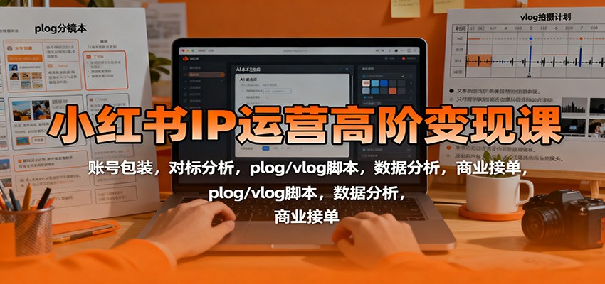 小红书IP运营高阶变现课：账号包装，对标分析，plog/vlog脚本，数据分析，商业接单-玩备项目资源网