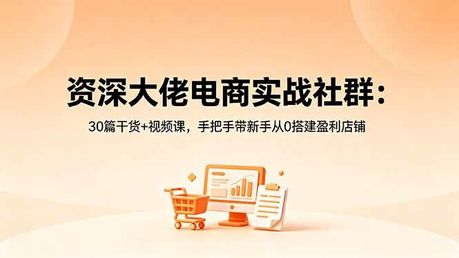 （18529期）资深大佬电商实战社群：30篇干货+视频课，手把手带新手从0搭建盈利店铺-玩备项目资源网