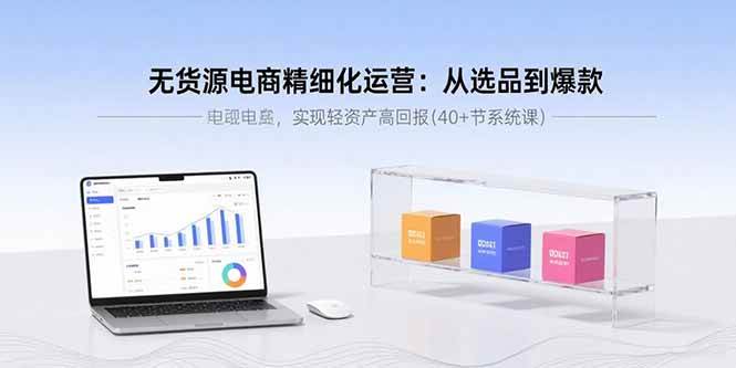 （15896期）无货源电商精细化运营：从选品到爆款，实现轻资产高回报(40+节系统课)-玩备项目资源网