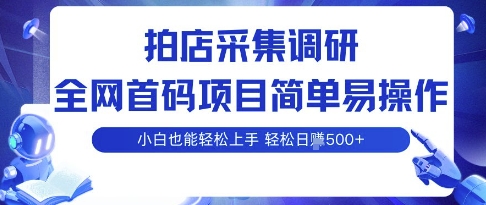 拍店采集调研，全网首码项目，简单易操作， 小白也能轻松上手，多账号操作，轻松日入5张【揭秘】-玩备项目资源网