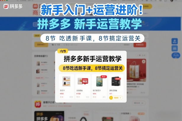 新手入门+运营进阶！拼多多新手运营教学，8节吃透新手课，8节搞定运营关-玩备项目资源网