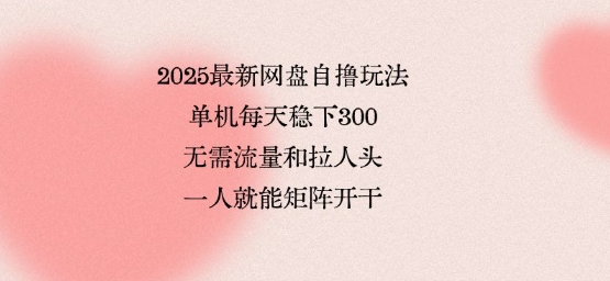 2025最新网盘自撸玩法，单机每天稳下3张，无需流量和拉人头，一个人就可轻松矩阵，全网独一份【揭秘】-玩备项目资源网