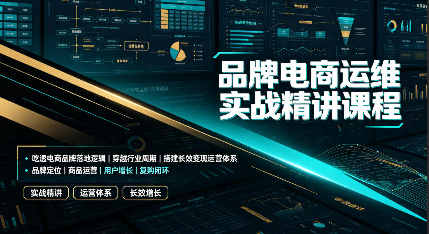 品牌电商运维实战精讲课程|吃透电商品牌落地逻辑、穿越行业周期、搭建长效变现运营体系-玩备项目资源网