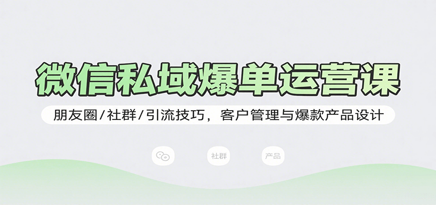 微信私域爆单运营课：朋友圈/社群/引流技巧，客户管理与爆款产品设计-玩备项目资源网