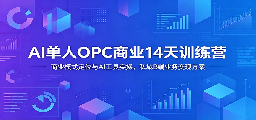 AI单人OPC商业14天训练营:商业模式定位与AI工具实操,私域B端业务变现方案-玩备项目资源网