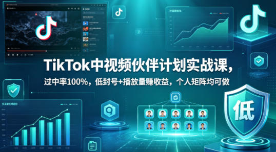 TikTok中视频伙伴计划实战课,过中率100%,低封号+播放量賺收益,个人矩阵均可做-玩备项目资源网