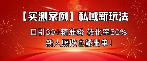 【实测案例】私域新玩法，日引30+精准粉，转化率50%，新人照做也能出单！-玩备项目资源网