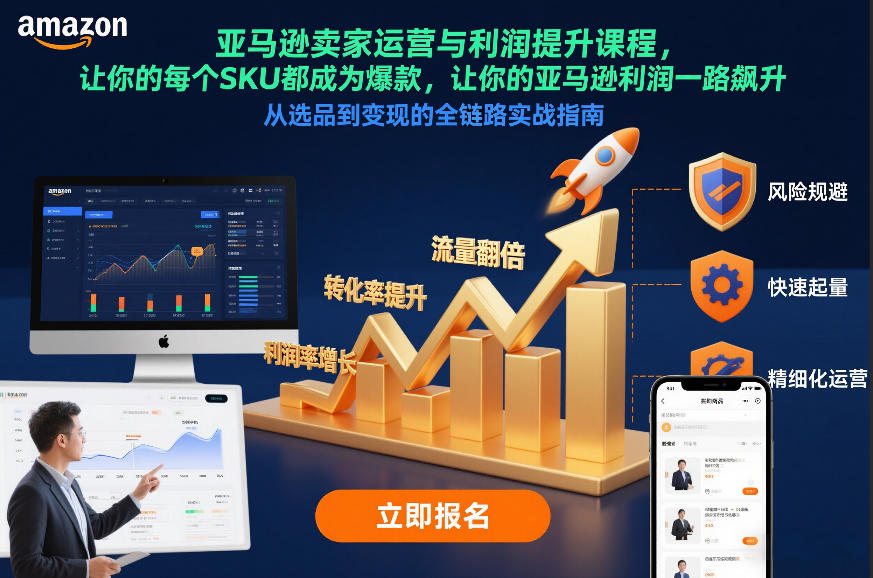 亚马逊卖家运营与利润提升课程,让你的每个SKU都成为爆款,让你的亚马逊利润一路飙升(更新26年3月)-玩备项目资源网