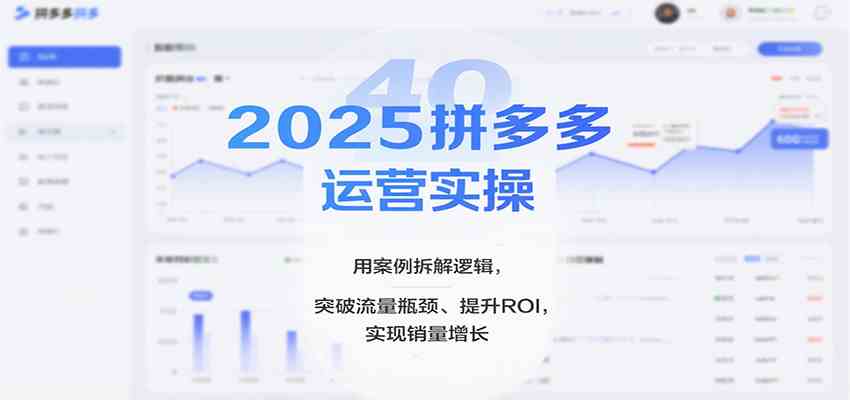 2025拼多多运营实操，用案例拆解逻辑，突破流量瓶颈、提升ROI，实现销量增长-玩备项目资源网