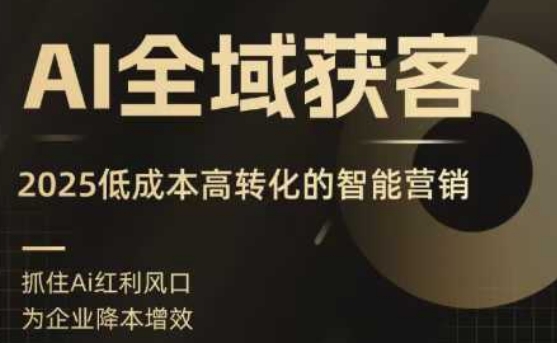 AI全域获客实训营，2025低成本高转化的智能营销，精准找客，高效营销-玩备项目资源网