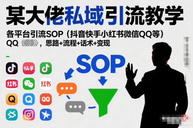 某大佬私域引流教学,各平台引流SOP(抖音快手小红书微信QQ等),思路+流程+话术+变现(更新0708)-玩备项目资源网