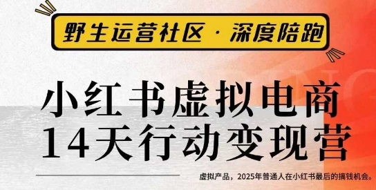 小红书虚拟电商14天变现训练营3.0，虚拟产品，2025年普通人在小红书最后的搞钱机会-玩备项目资源网