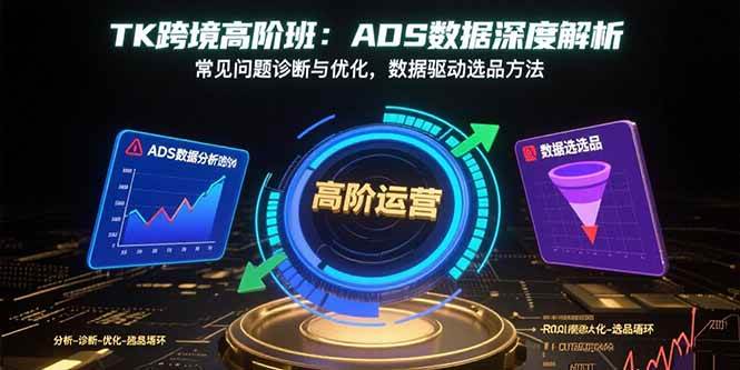 （15809期）TK跨境高阶班：ADS数据深度解析，常见问题诊断与优化，数据驱动选品方法-玩备项目资源网