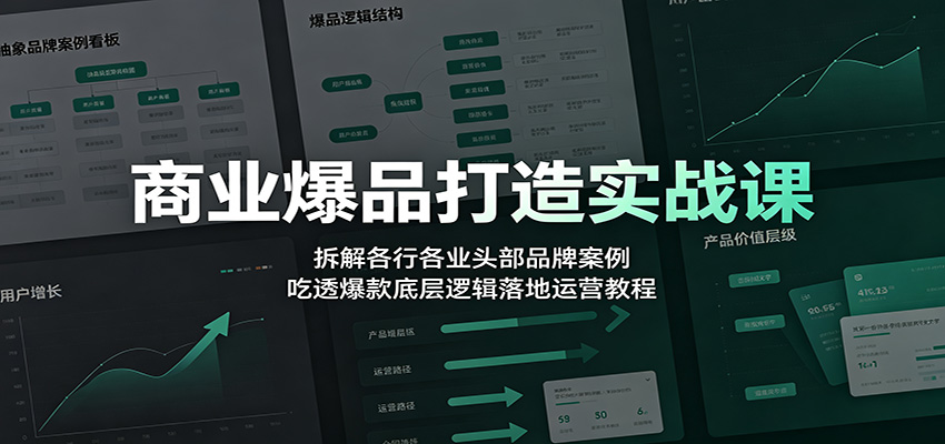 商业爆品打造实战课：拆解各行各业头部品牌案例，吃透爆款底层逻辑落地运营教程-玩备项目资源网